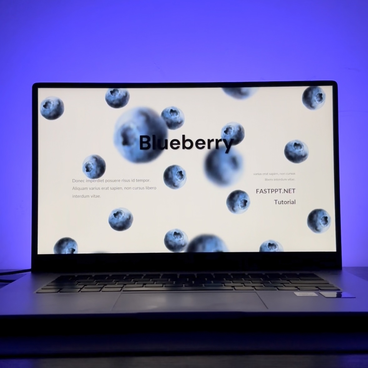 Blueberry Morph PowerPoint Showcase